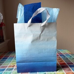 🩵💙🩵 TIFFANY & CO. MYSTERY BAG 🩵💙🩵NWT 🩵💙🩵